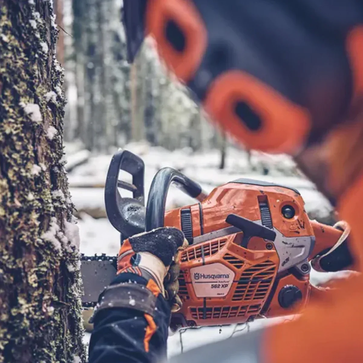 Husqvarna 562XP Mark-II Chainsaw - UPGRADED MODEL - High-performance 60cc chainsaw for professional hardwood forestry - Image 4