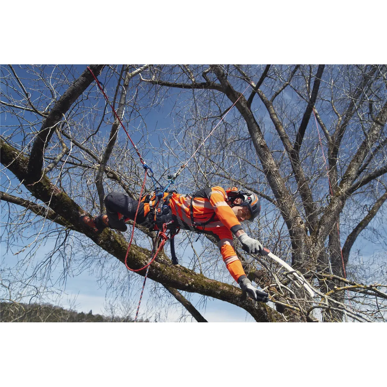 Husqvarna Climbing Harness - Comfortable and versatile harness for tree climbing. - Image 2
