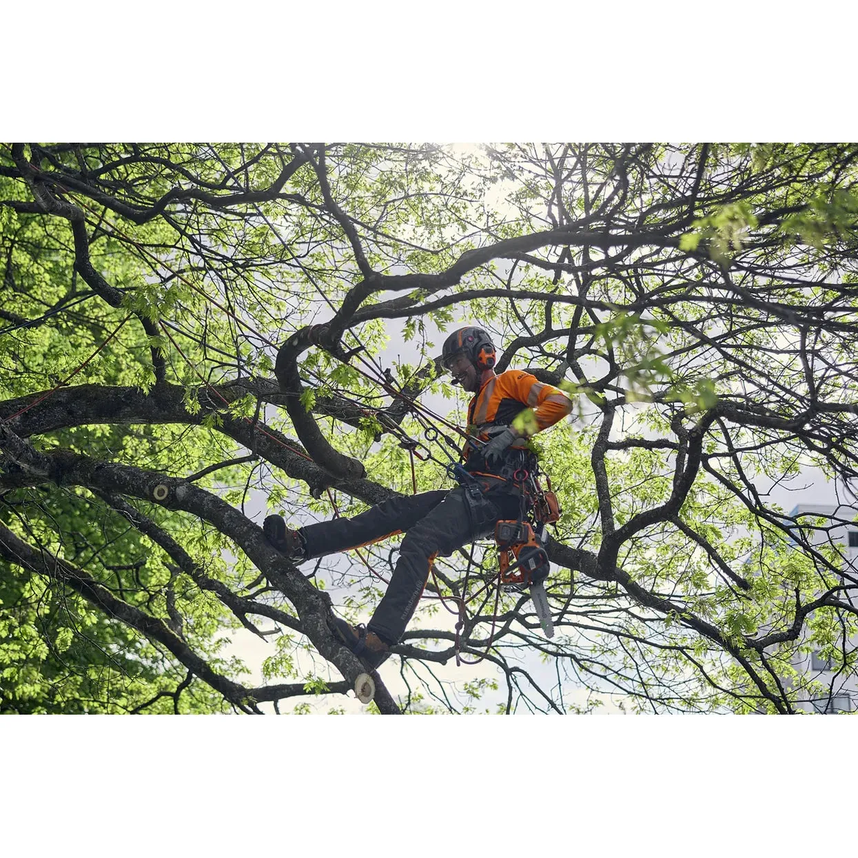 Husqvarna Climbing Harness - Comfortable and versatile harness for tree climbing. - Image 4