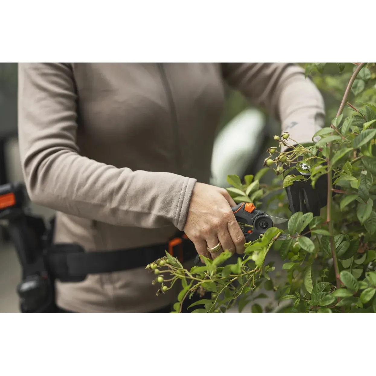 Husqvarna Secateur - Image 5