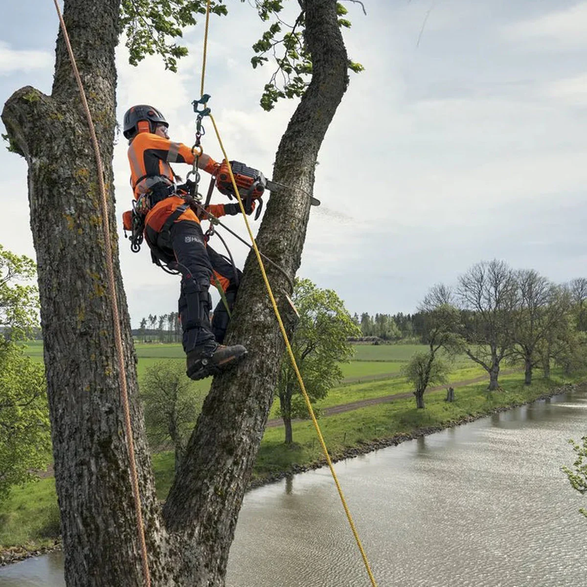 Husqvarna T540XP Mark-III Chainsaw - High cutting capacity for high-climbers. - Image 4
