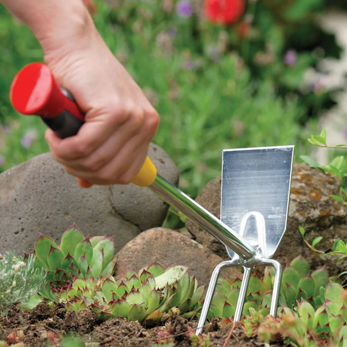 WOLF-Garten LN-2K Double Hoe - 2 in 1 tool for hoeing and loosening soil - Image 2
