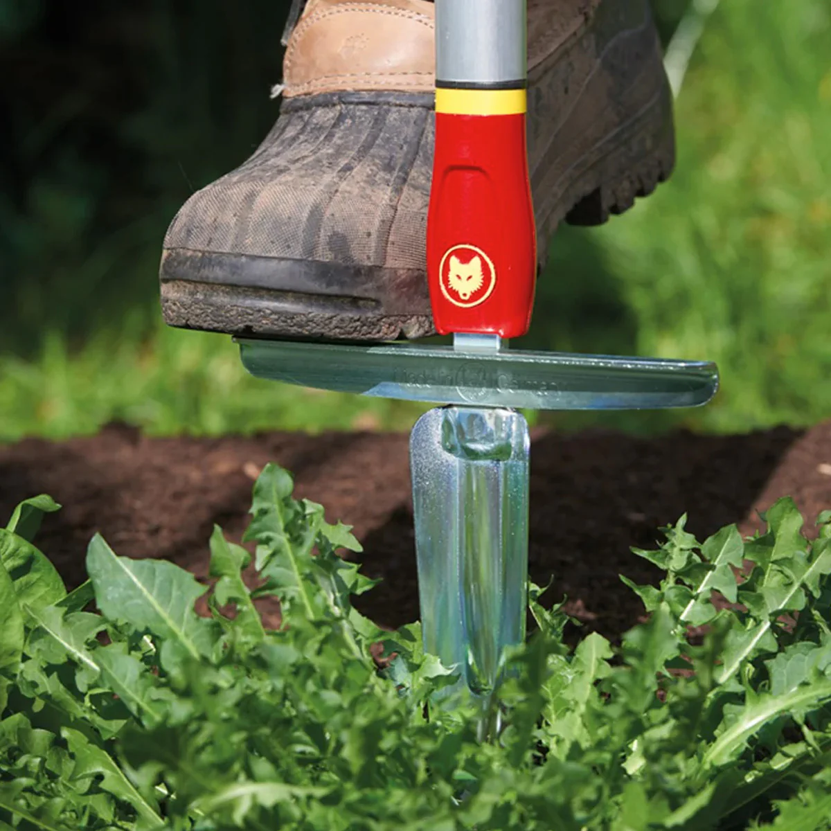 WOLF-Garten Multi: Weeding Knife - Weeder that won't hurt your back - Image 2