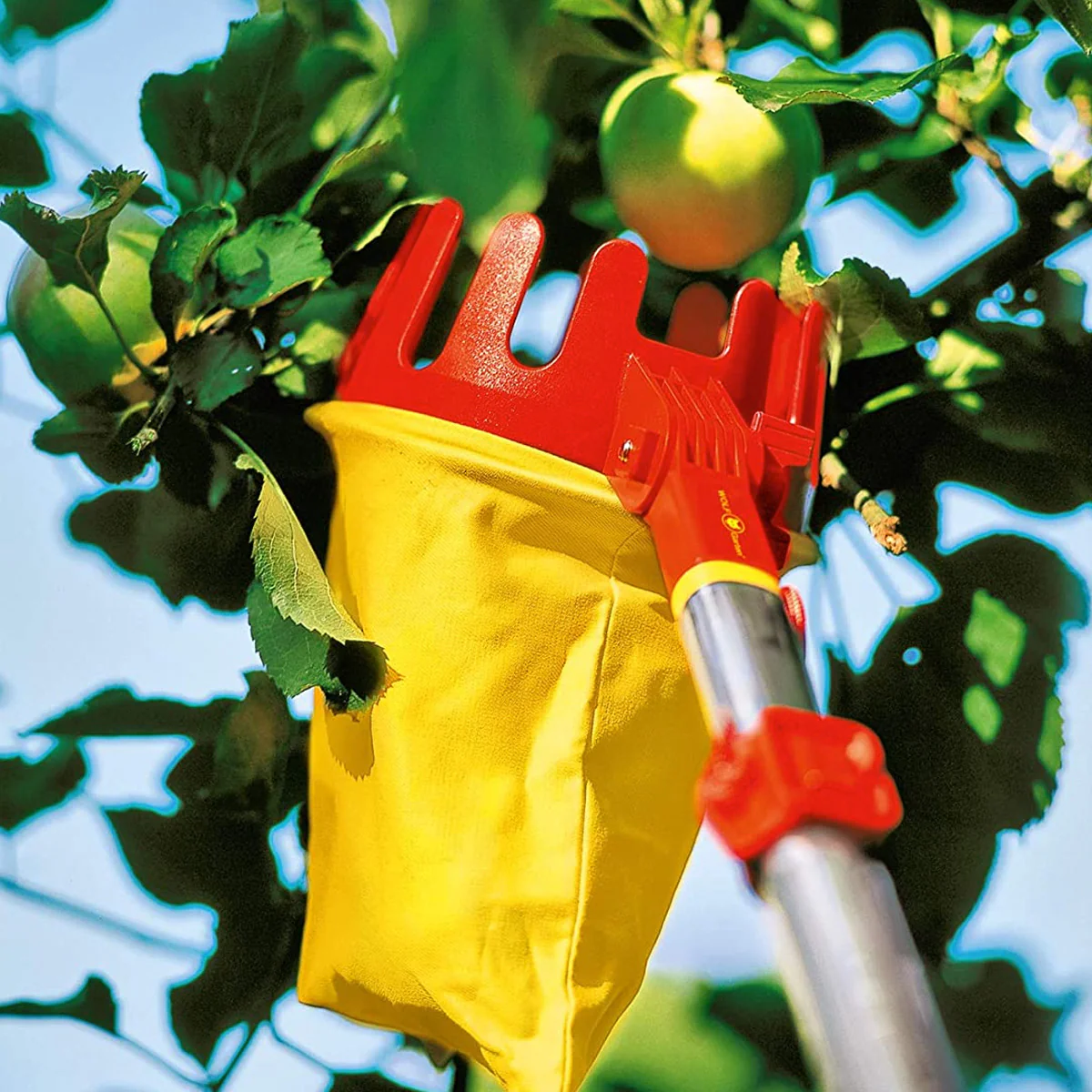 WOLF-Garten RG-M Fruit Picker - Harvest fruit without damage or bruising - Image 2