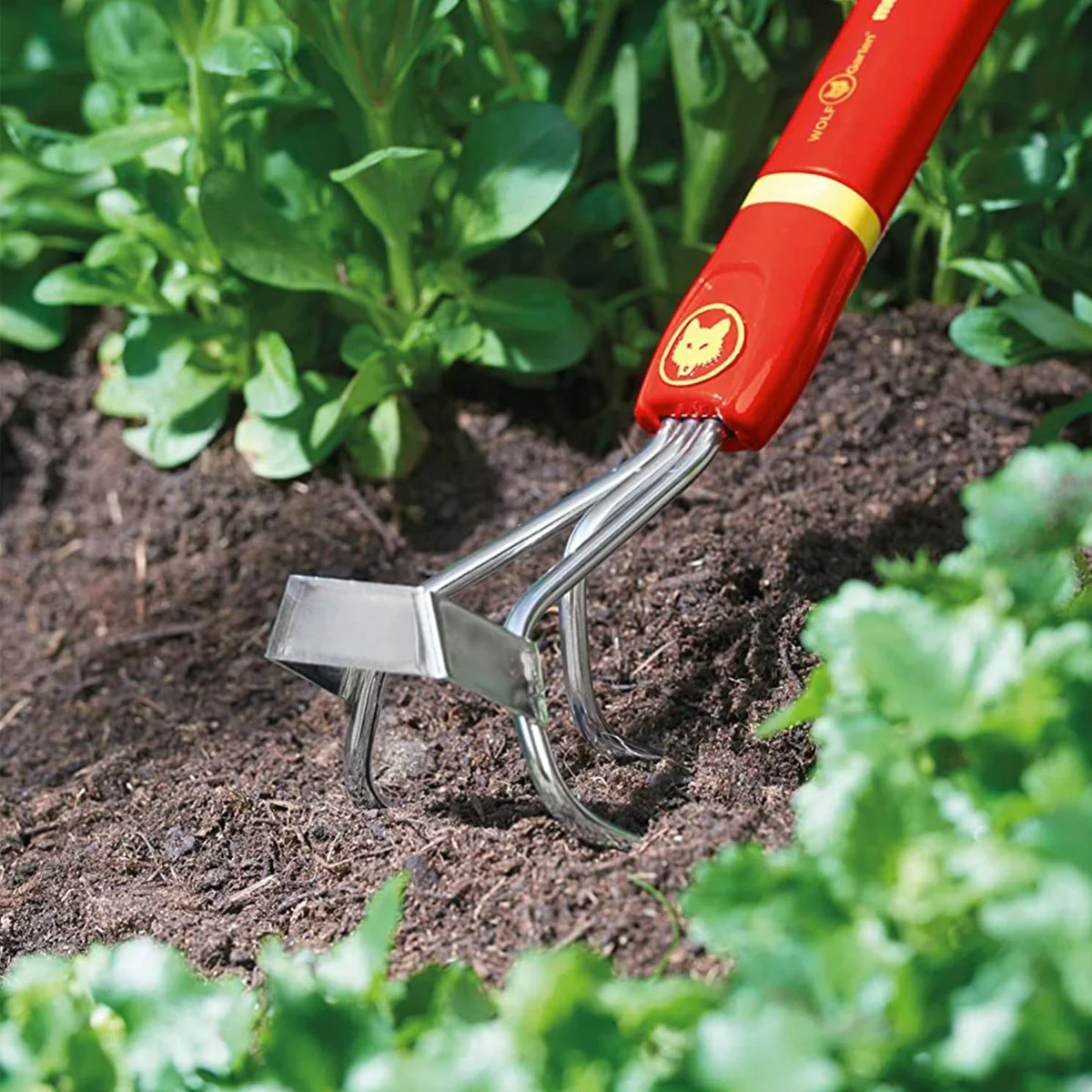 WOLF-Garten Weeding Cultivator - Break up the toughest soil and weed using 1 tool - Image 2
